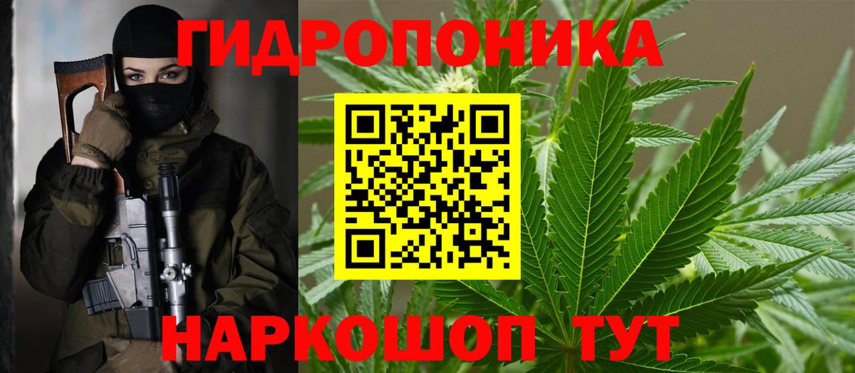 Каннабис план Всеволожск
